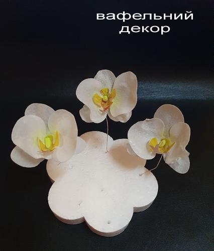 Вафельні  Орхідеї для декору 3 шт білі